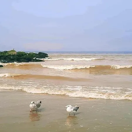 Lägenhet In Near The Beach, Cleaning Included